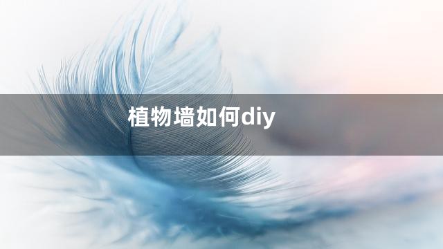 植物墙如何diy