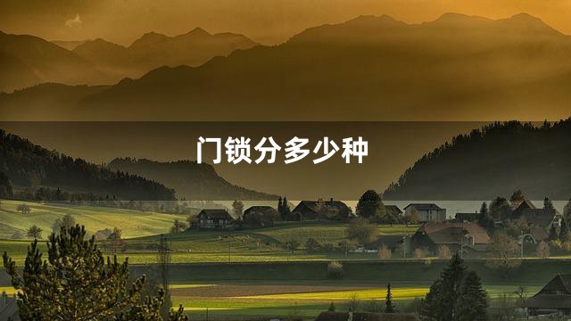 门锁分多少种