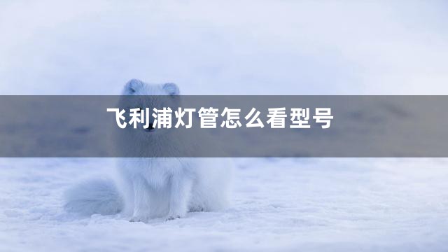 飞利浦灯管怎么看型号