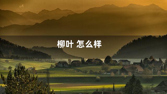柳叶 怎么样