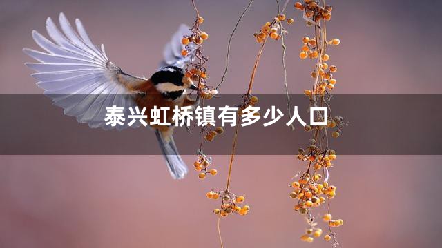 泰兴虹桥镇有多少人口