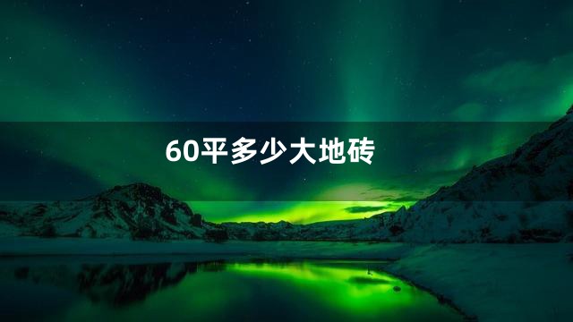 60平多少大地砖