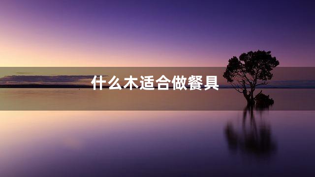 什么木适合做餐具