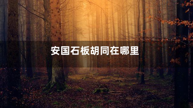 安国石板胡同在哪里