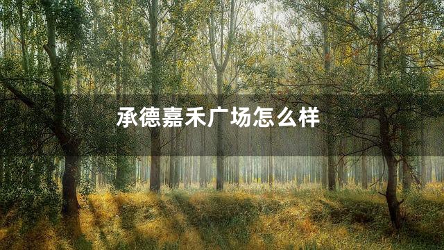 承德嘉禾广场怎么样