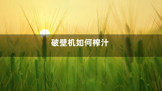 破壁机如何榨汁