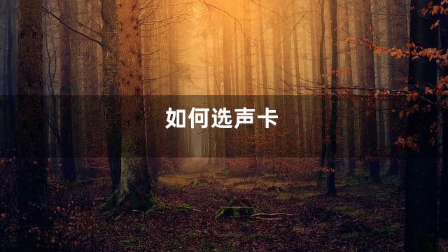 如何选声卡