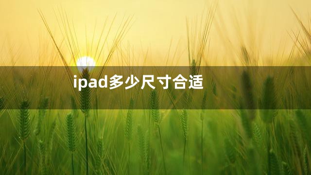 ipad多少尺寸合适