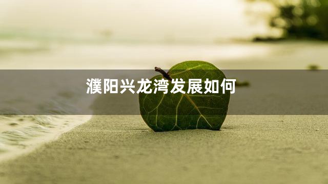 濮阳兴龙湾发展如何