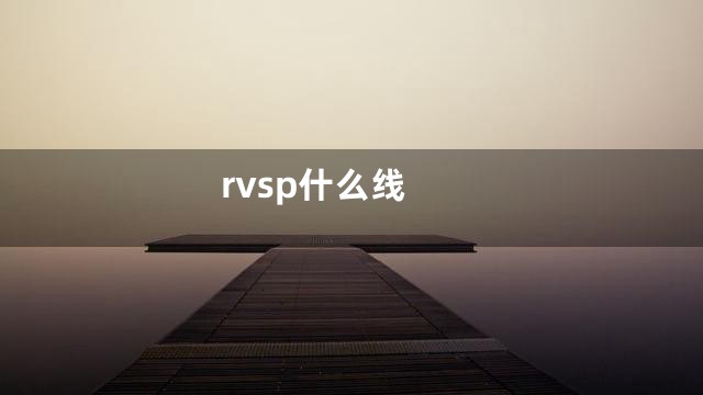 rvsp什么线