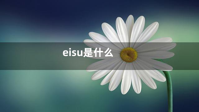 eisu是什么