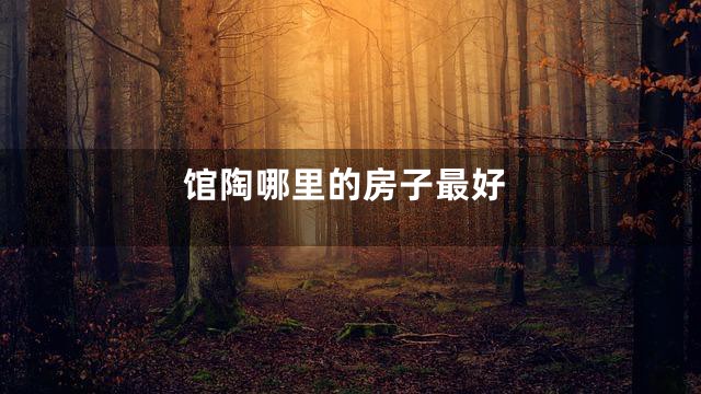 馆陶哪里的房子最好