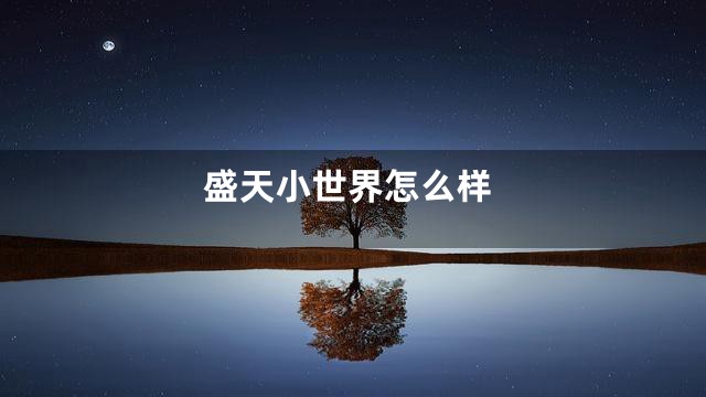 盛天小世界怎么样