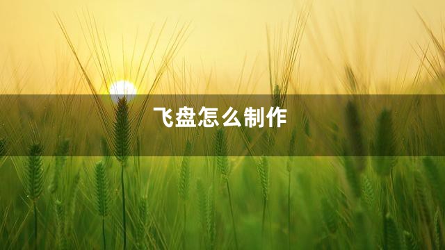 飞盘怎么制作