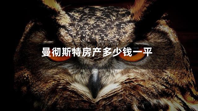 曼彻斯特房产多少钱一平