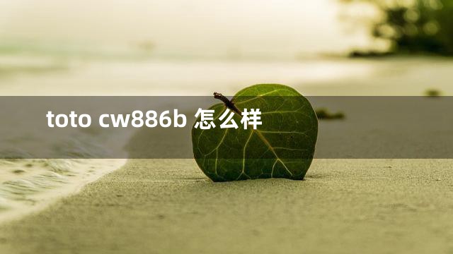 toto cw886b 怎么样