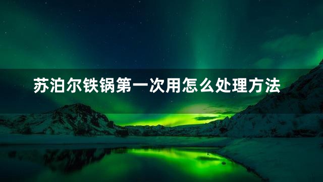 苏泊尔铁锅第一次用怎么处理方法