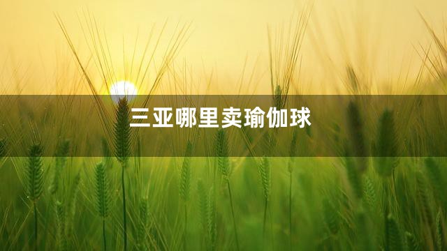 三亚哪里卖瑜伽球