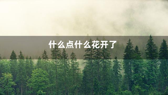 什么点什么花开了