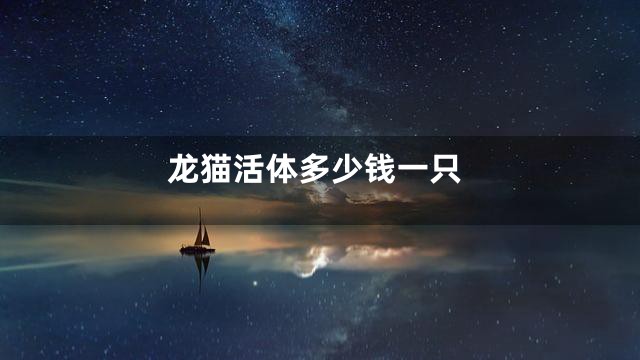 龙猫活体多少钱一只