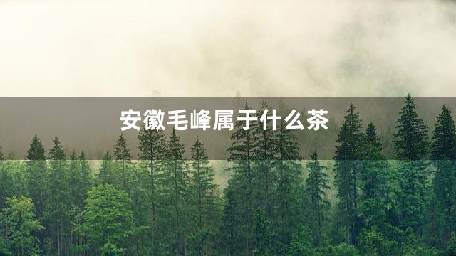 安徽毛峰属于什么茶