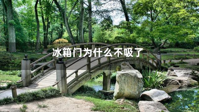 冰箱门为什么不吸了