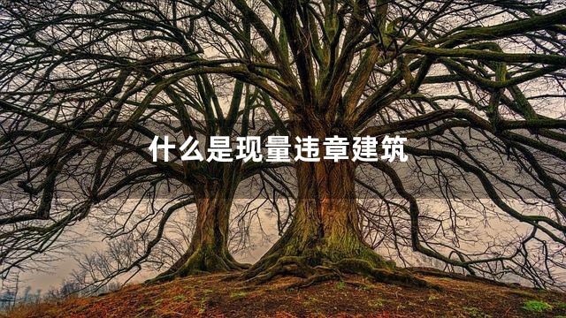 什么是现量违章建筑