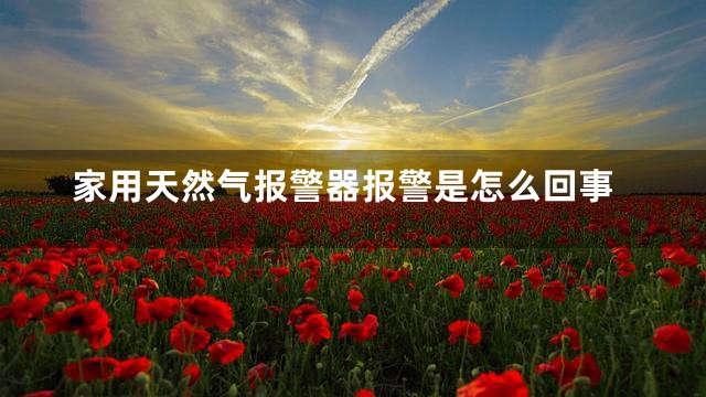 家用天然气报警器报警是怎么回事