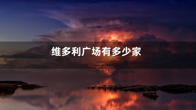 维多利广场有多少家