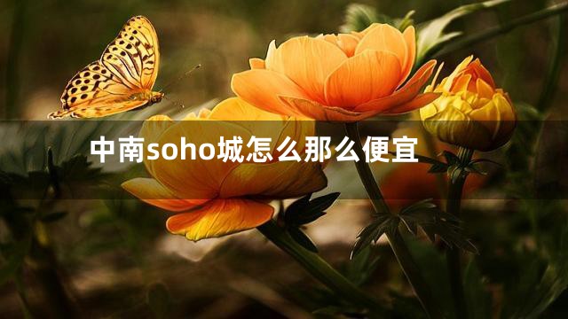 中南soho城怎么那么便宜