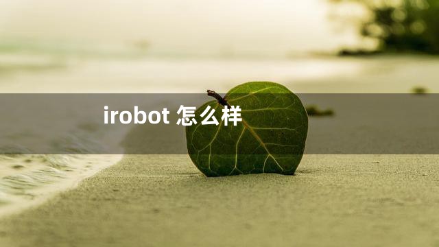 irobot 怎么样