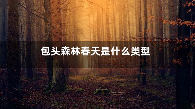 包头森林春天是什么类型