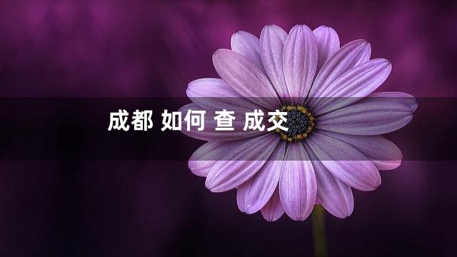 成都 如何 查 成交