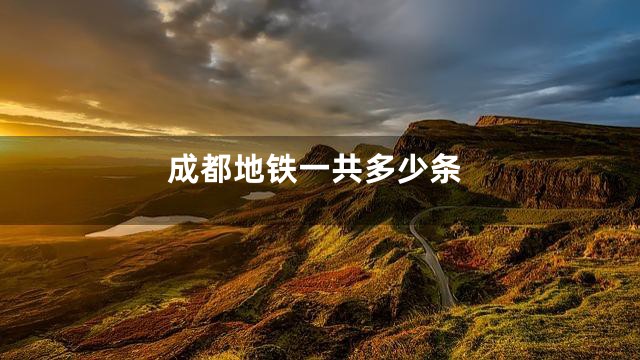 成都地铁一共多少条