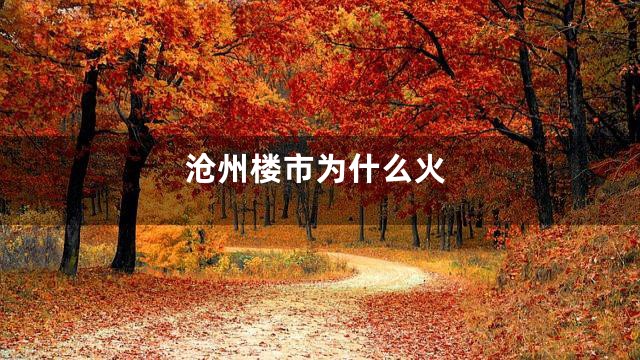 沧州楼市为什么火