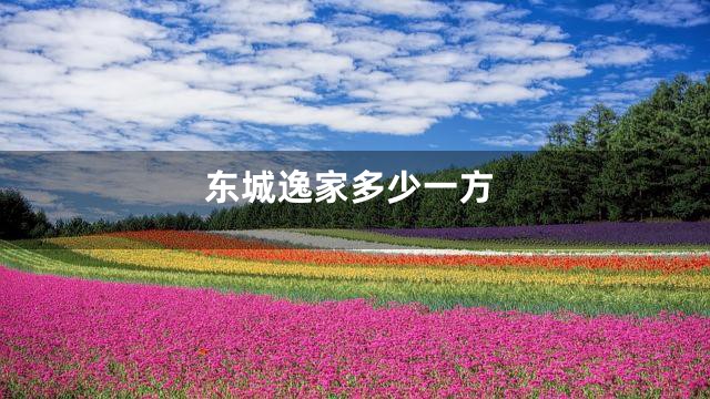 东城逸家多少一方