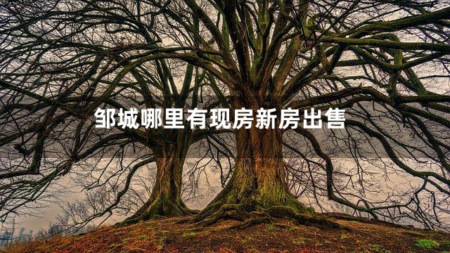 邹城哪里有现房新房出售