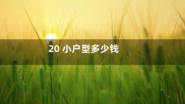 20 小户型多少钱