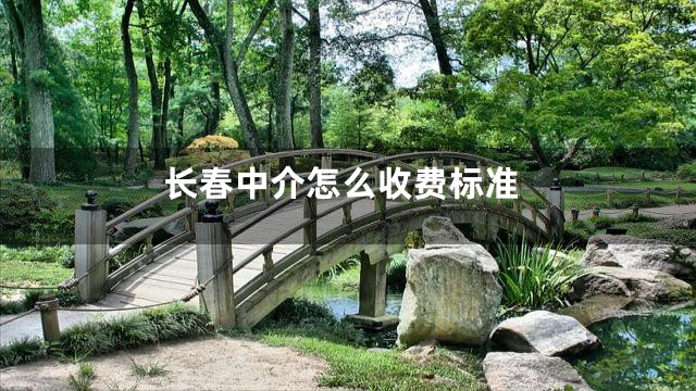 长春中介怎么收费标准