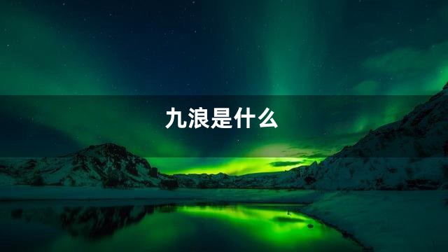 九浪是什么