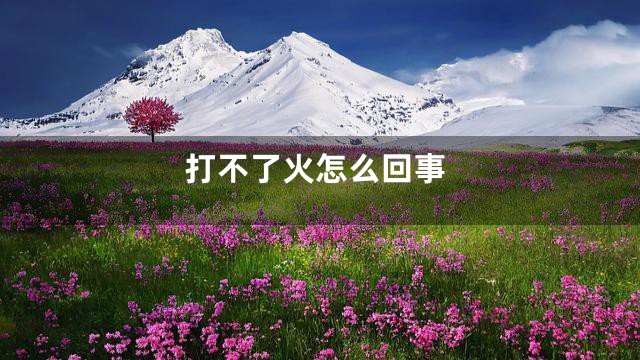 打不了火怎么回事