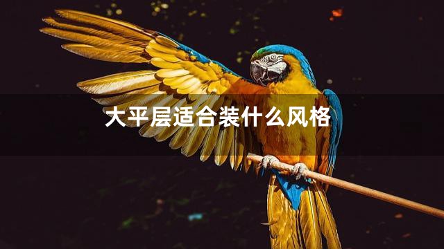 大平层适合装什么风格