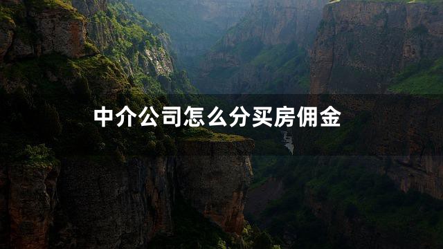 中介公司怎么分买房佣金