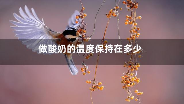 做酸奶的温度保持在多少