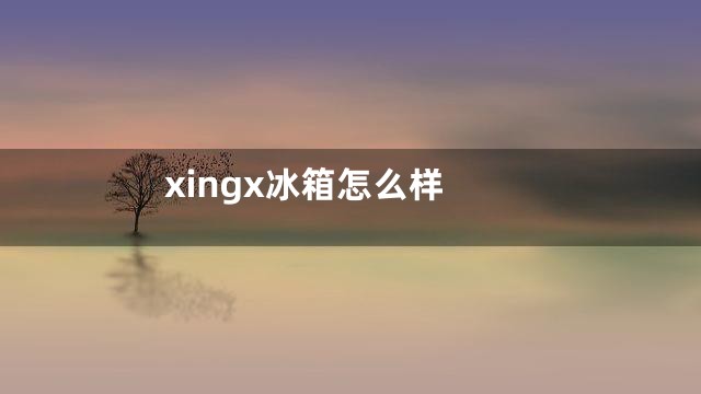 xingx冰箱怎么样