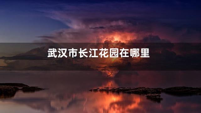武汉市长江花园在哪里