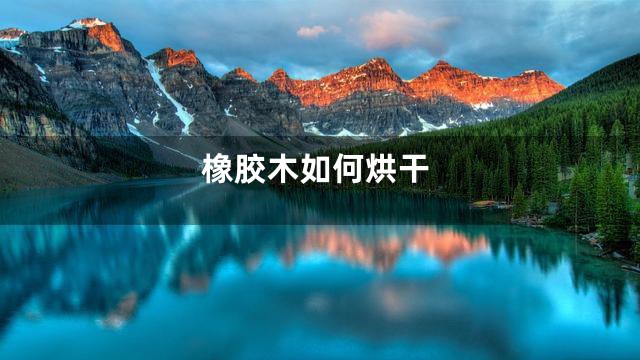 橡胶木如何烘干