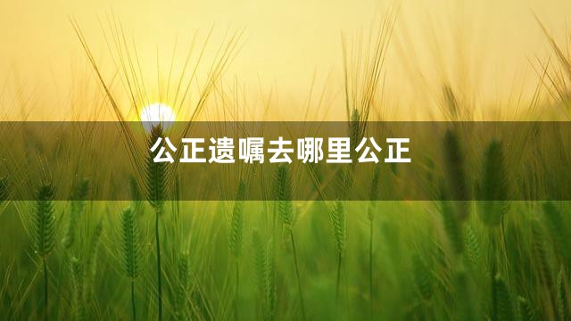 公正遗嘱去哪里公正