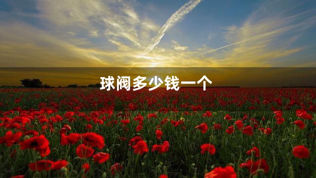 球阀多少钱一个