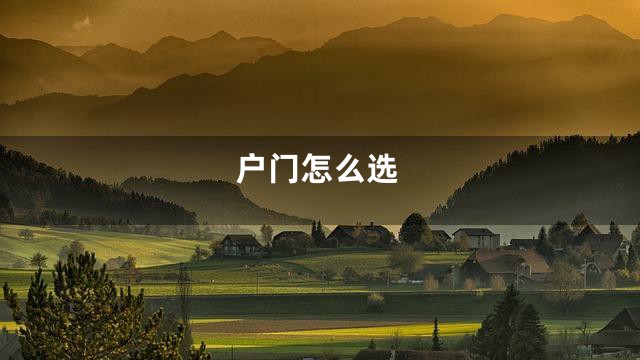户门怎么选